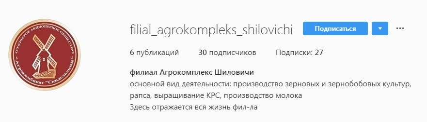 Неправильный вариант аватара в Instagram для бизнес-аккаунта
