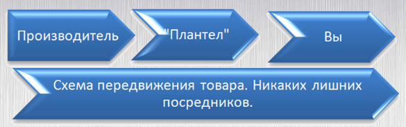 vidy-tekstov-dlya-sajta-16-min