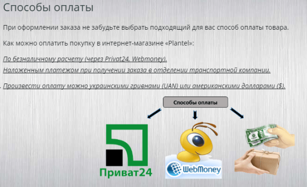 vidy-tekstov-dlya-sajta-24-min