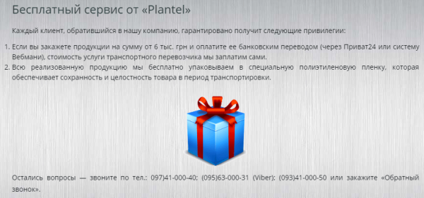 vidy-tekstov-dlya-sajta-26-min