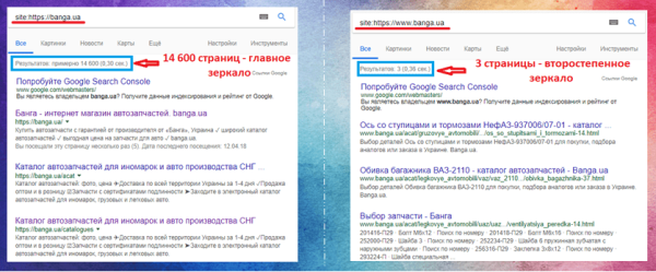 Host для указания на основное зеркало