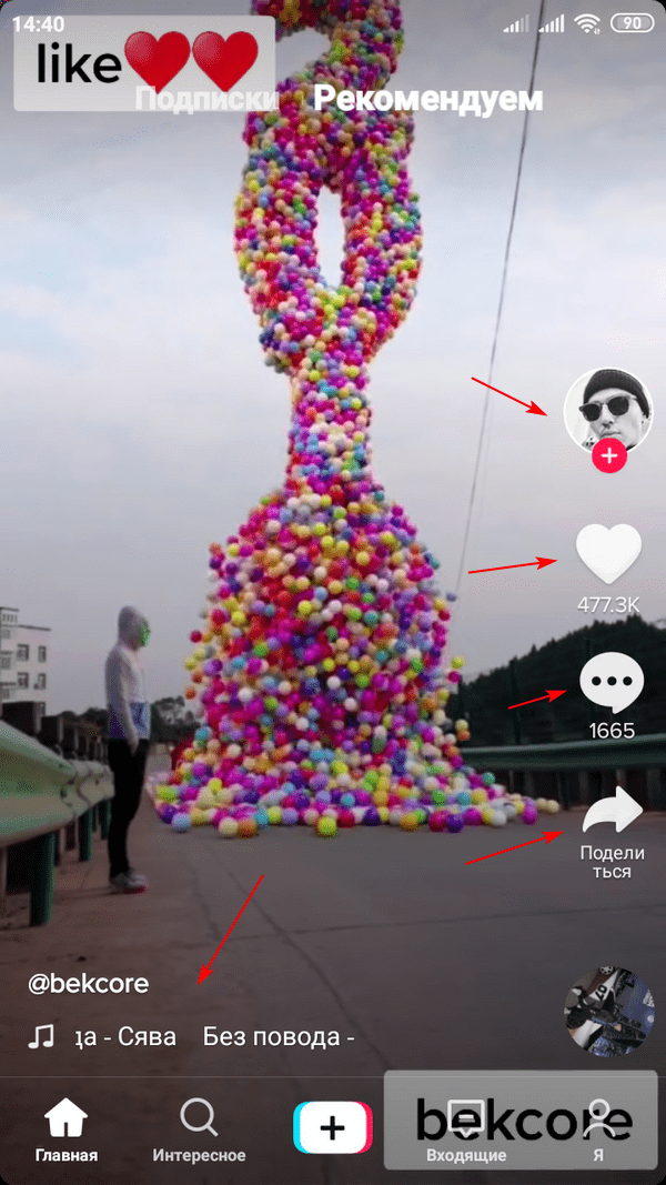 Лента в приложении TikTok