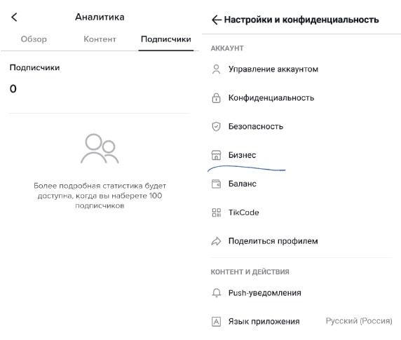 Аналитика TikTok
