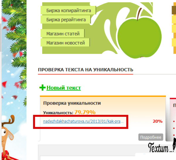 Text.ru сервис